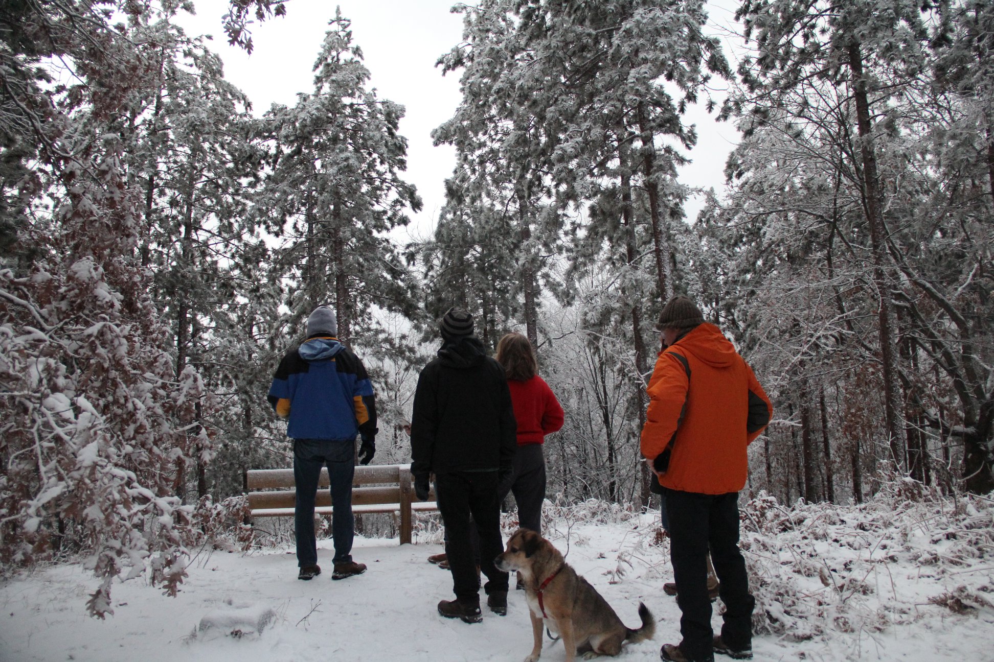 Chippewa Watershed Conservancy Bundy Hill Preserve A group of people hiking trails at Bundy Hill Preserve in Isabella County.
